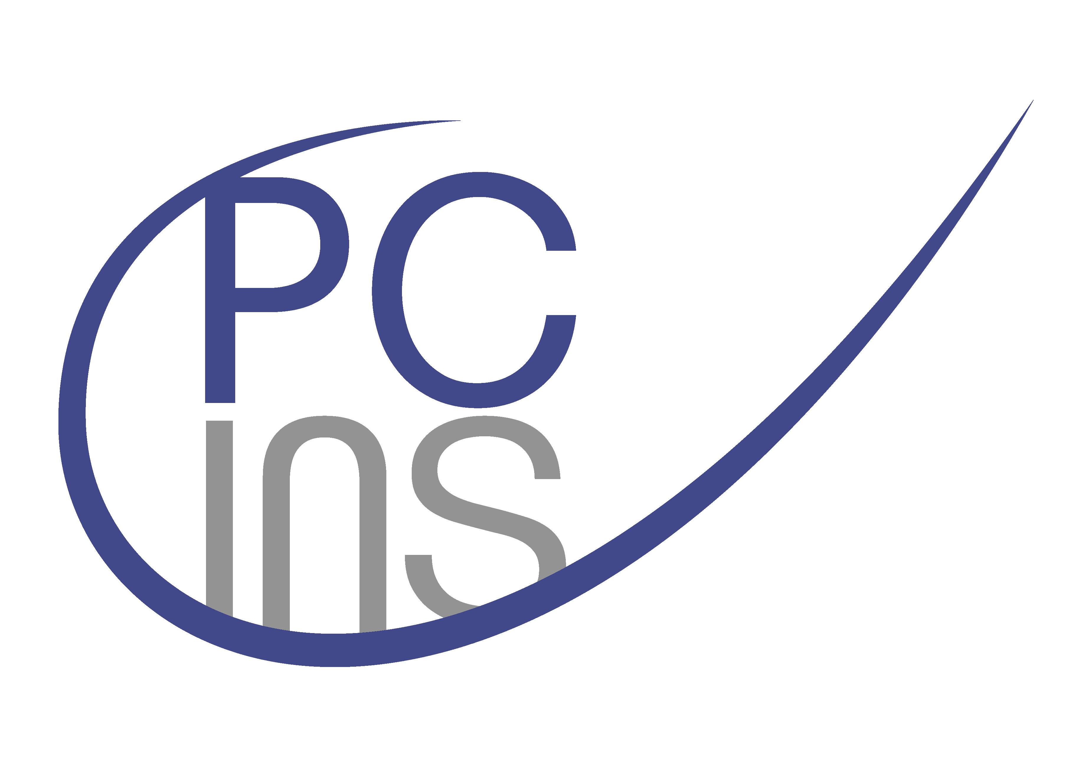 Professional Communication INS GmbH
